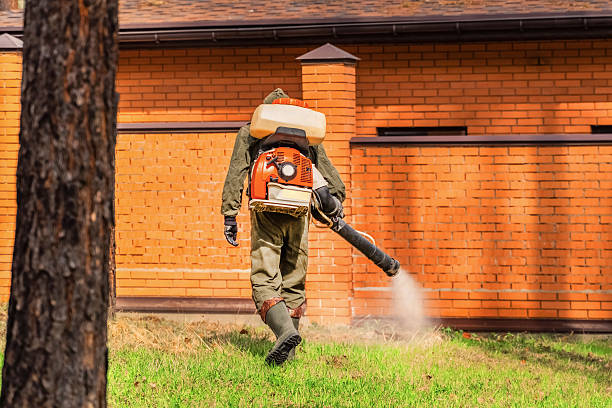 Trusted Ant Control service in Scottsbluff, NE - Nex Pest Control